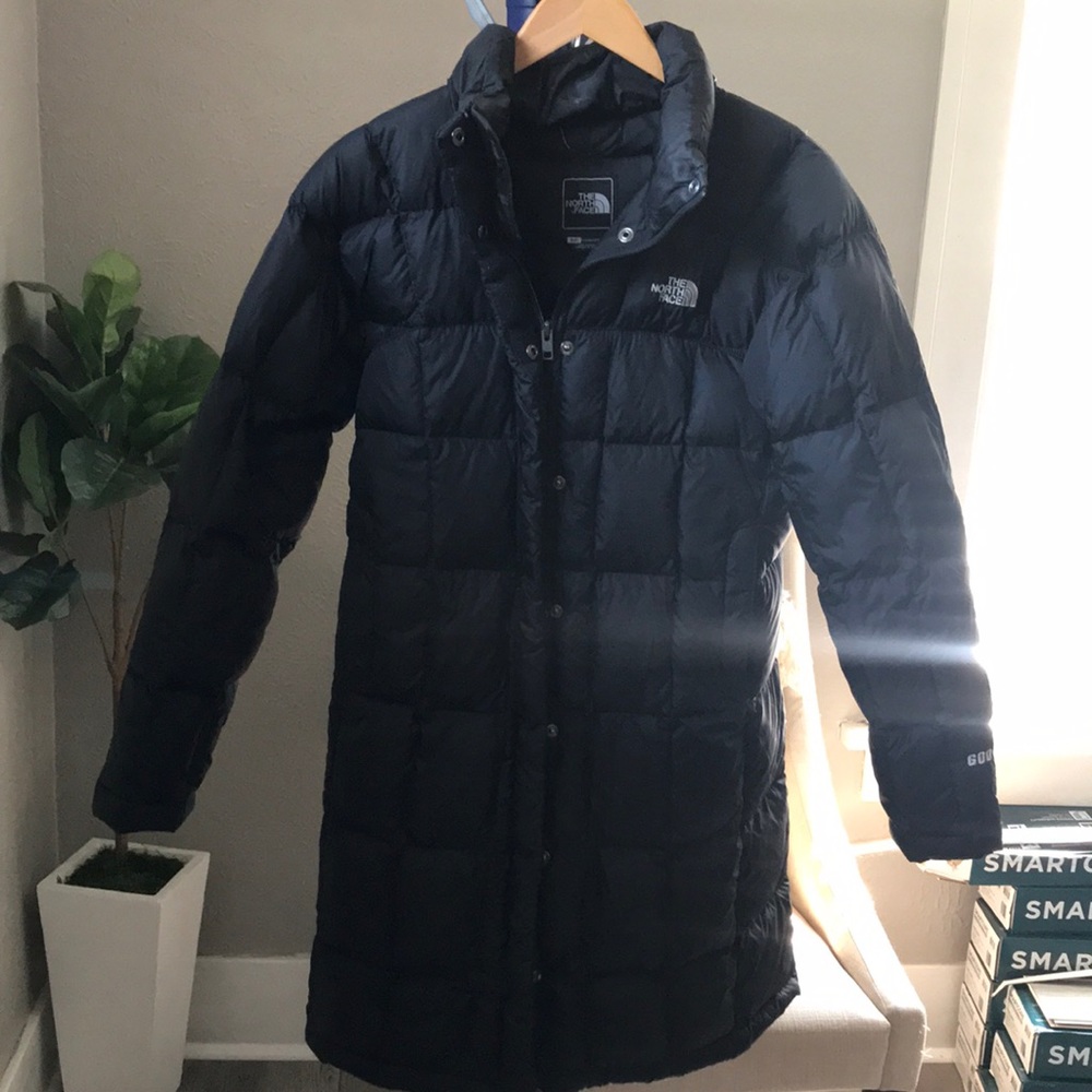 The north face jacket
